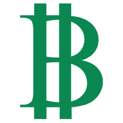 The Budgetnista Logo